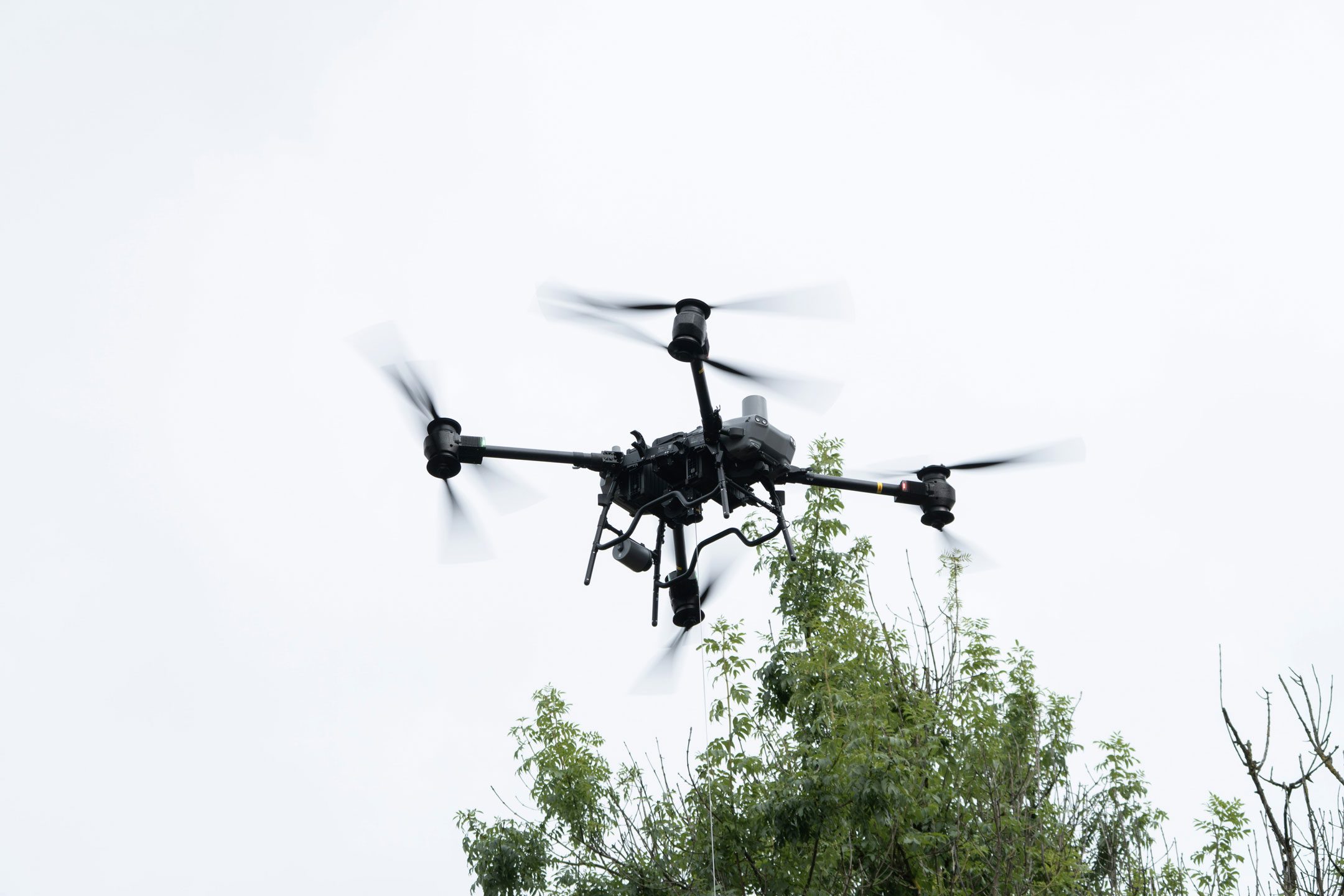 A drone flying alongside a tree.